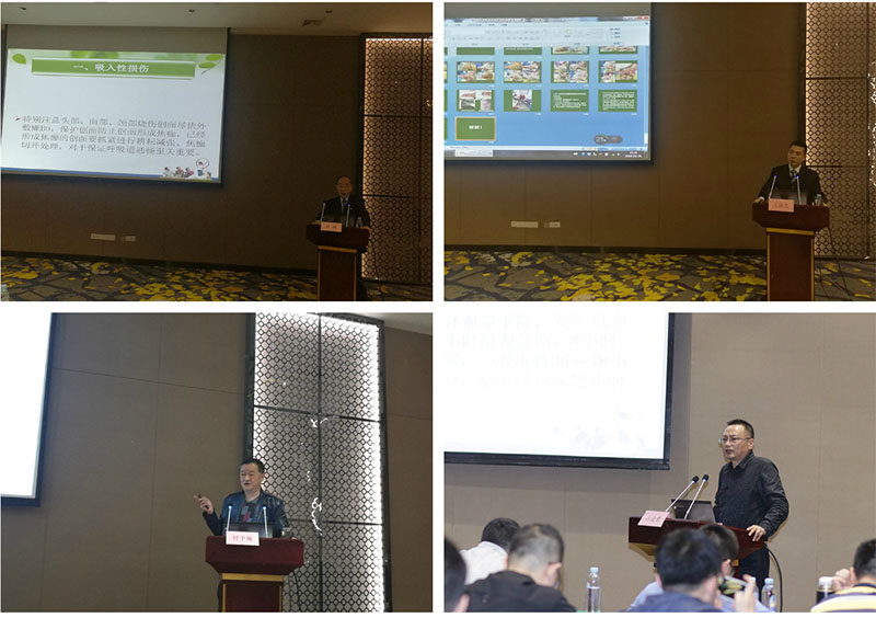 �Ϲ�NG��28(�й���)����Ʒ���������޹�˾