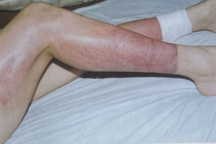 �Ϲ�NG��28(�й���)����Ʒ���������޹�˾