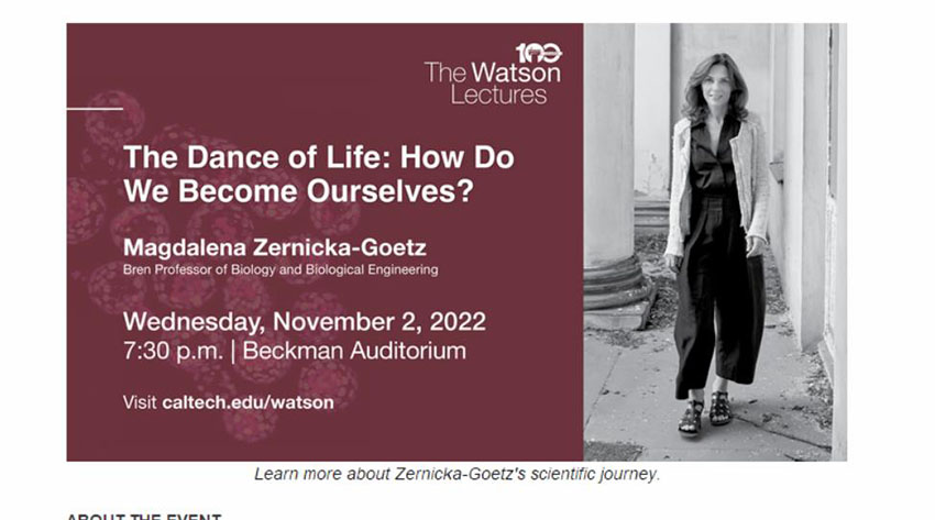 �Ϲ�NG��28(�й���)����Ʒ���������޹�˾