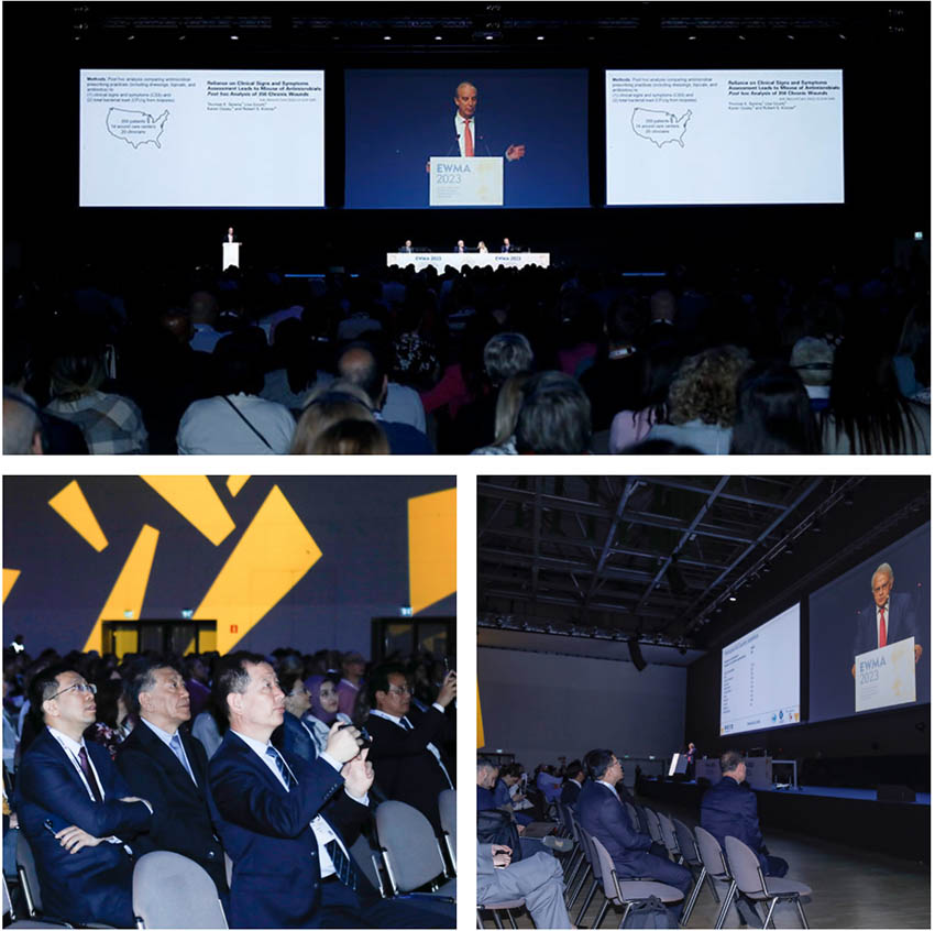 �Ϲ�NG��28(�й���)����Ʒ���������޹�˾