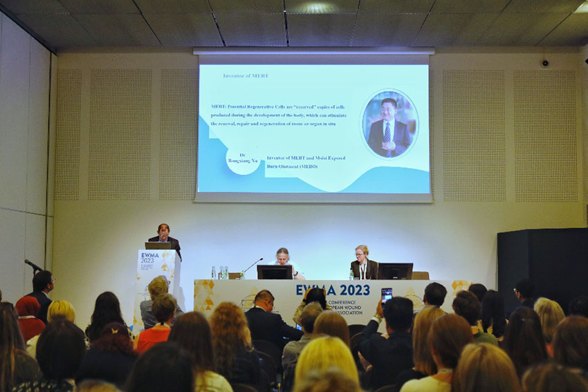 �Ϲ�NG��28(�й���)����Ʒ���������޹�˾