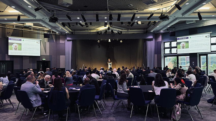 �Ϲ�NG��28(�й���)����Ʒ���������޹�˾