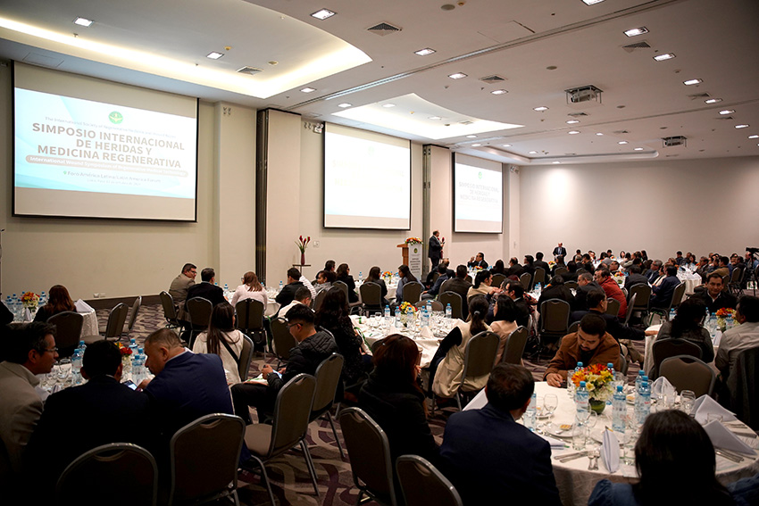 �Ϲ�NG��28(�й���)����Ʒ���������޹�˾