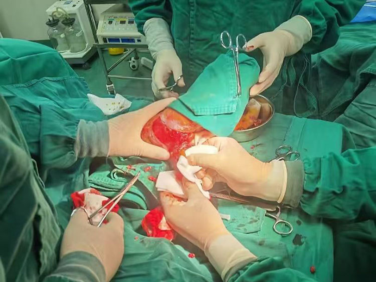 �Ϲ�NG��28(�й���)����Ʒ���������޹�˾