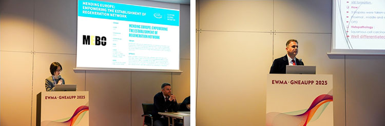 �Ϲ�NG��28(�й���)����Ʒ���������޹�˾