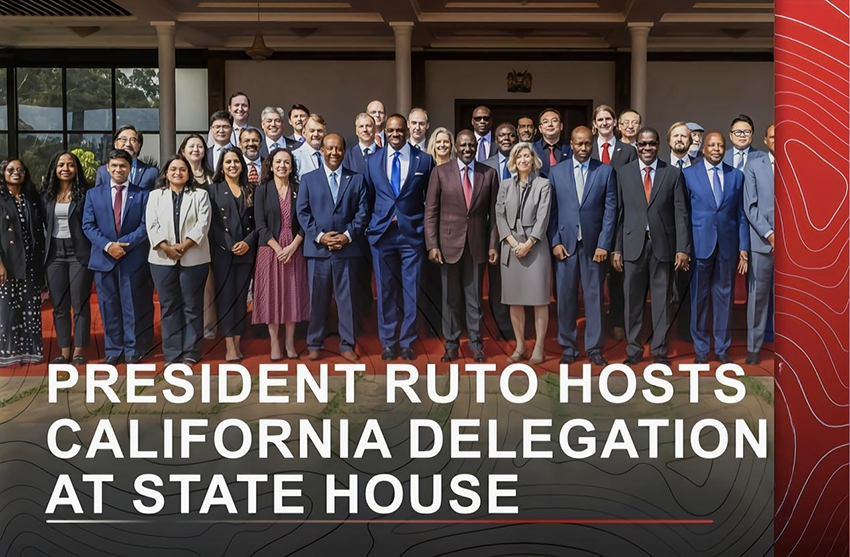 �Ϲ�NG��28(�й���)����Ʒ���������޹�˾