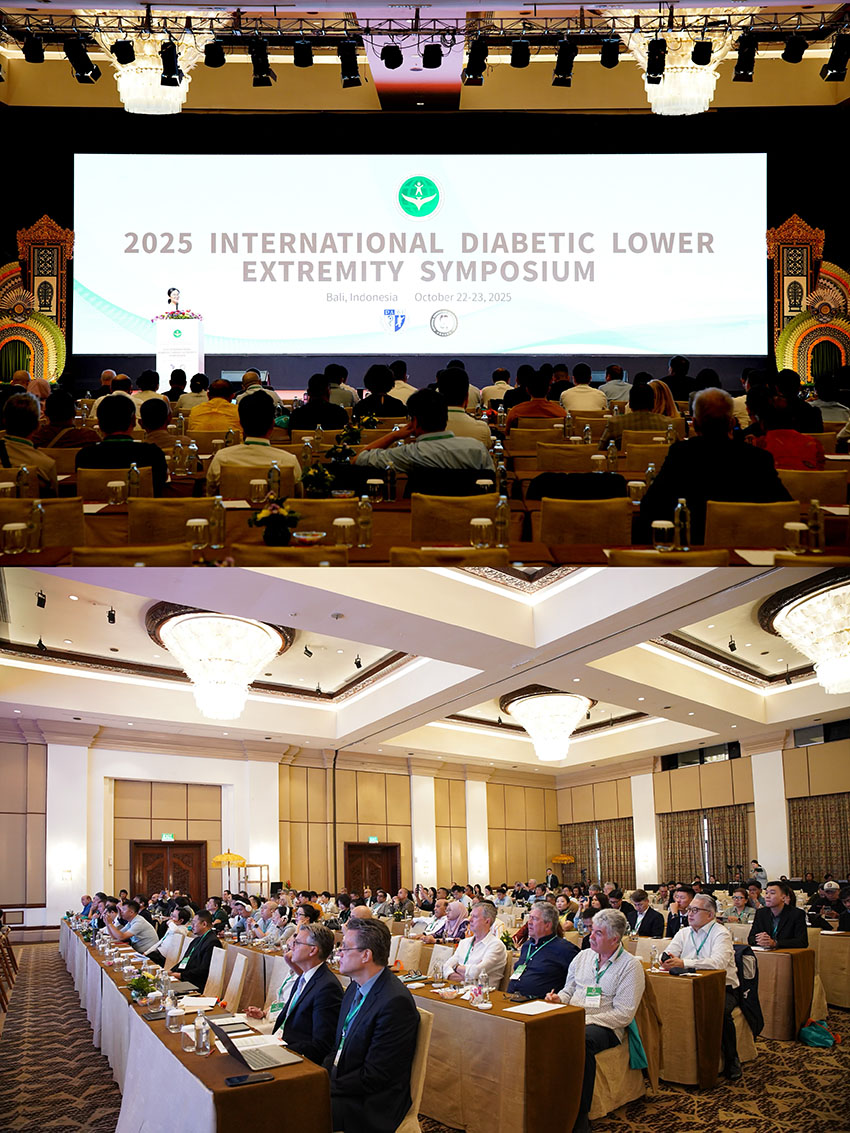 �Ϲ�NG��28(�й���)����Ʒ���������޹�˾