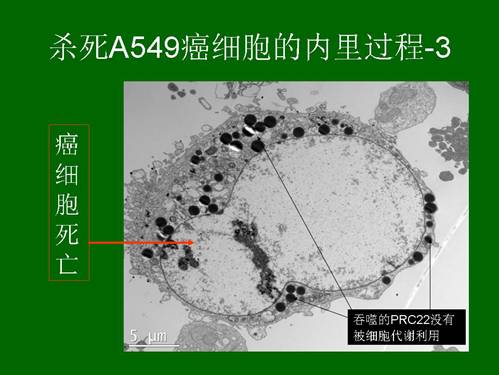 �Ϲ�NG��28(�й���)����Ʒ���������޹�˾