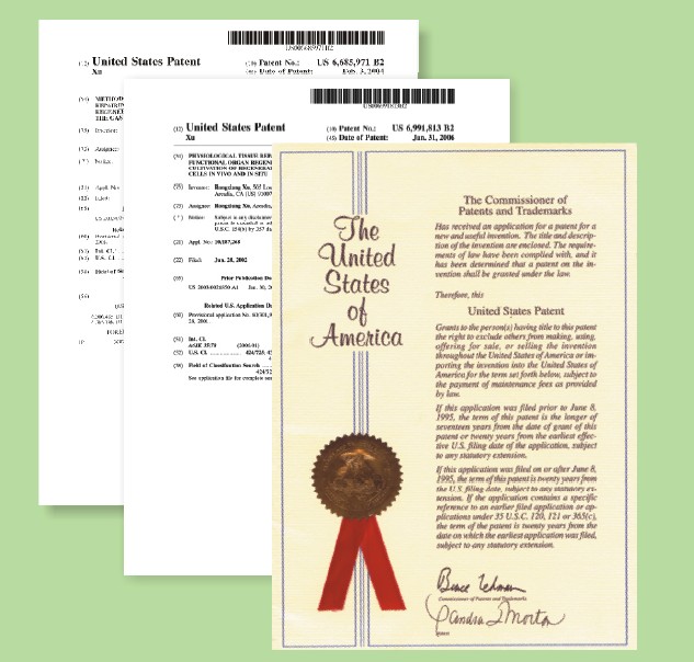 �Ϲ�NG��28(�й���)����Ʒ���������޹�˾