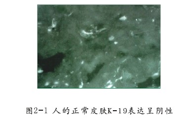 �Ϲ�NG��28(�й���)����Ʒ���������޹�˾