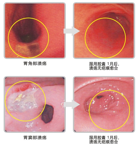 �Ϲ�NG��28(�й���)����Ʒ���������޹�˾