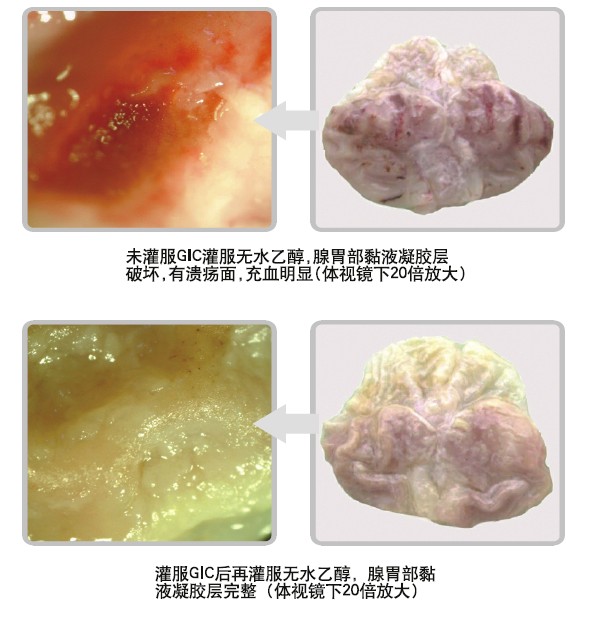 �Ϲ�NG��28(�й���)����Ʒ���������޹�˾