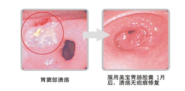 �Ϲ�NG��28(�й���)����Ʒ���������޹�˾