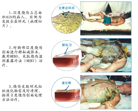 �Ϲ�NG��28(�й���)����Ʒ���������޹�˾