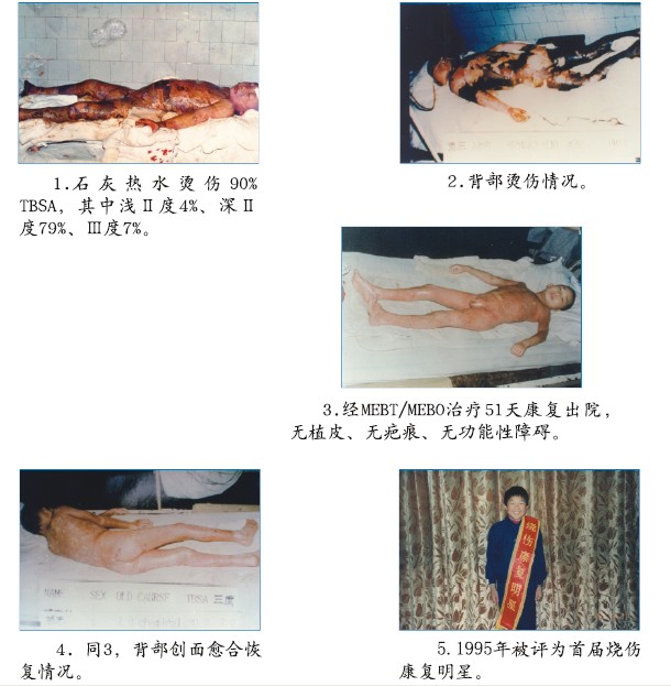 �Ϲ�NG��28(�й���)����Ʒ���������޹�˾