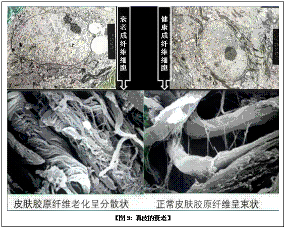 �Ϲ�NG��28(�й���)����Ʒ���������޹�˾