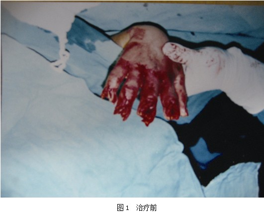 �Ϲ�NG��28(�й���)����Ʒ���������޹�˾