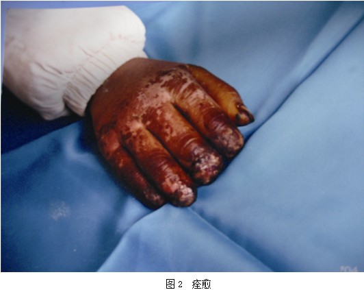 �Ϲ�NG��28(�й���)����Ʒ���������޹�˾