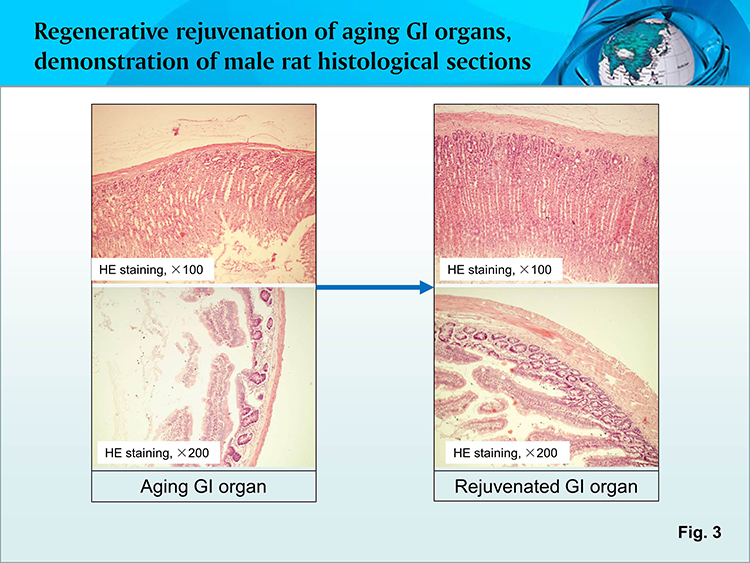 �Ϲ�NG��28(�й���)����Ʒ���������޹�˾