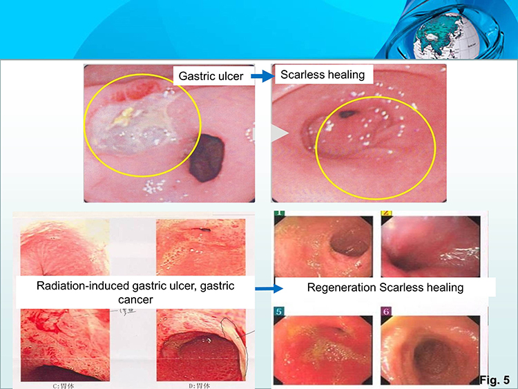 �Ϲ�NG��28(�й���)����Ʒ���������޹�˾