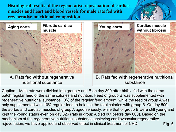 �Ϲ�NG��28(�й���)����Ʒ���������޹�˾