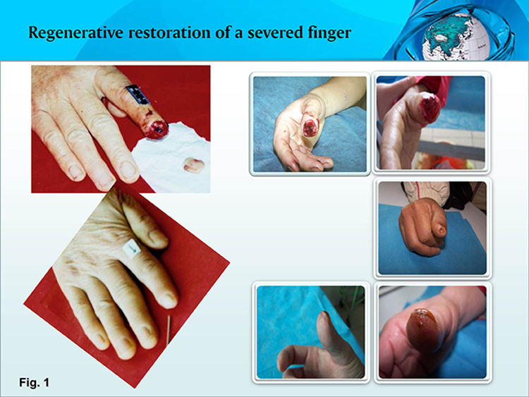 �Ϲ�NG��28(�й���)����Ʒ���������޹�˾