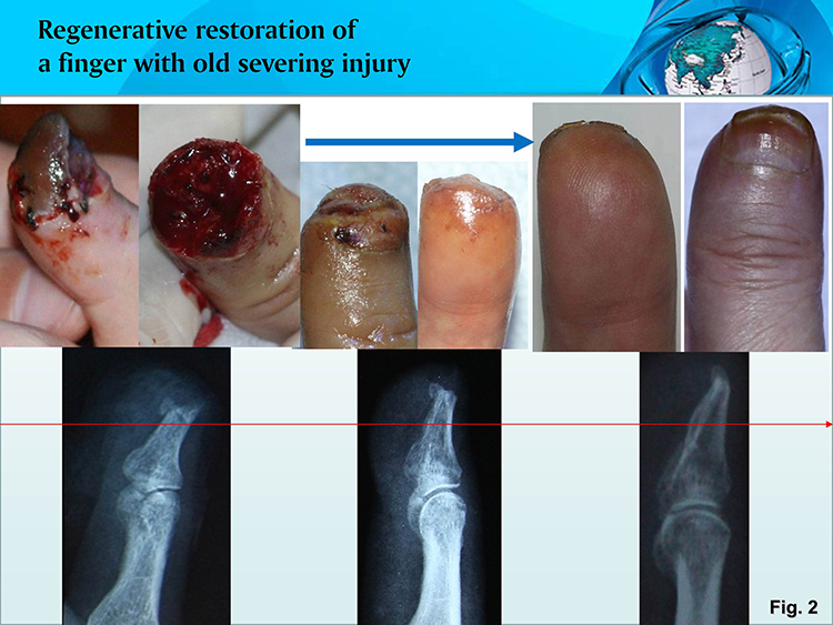 �Ϲ�NG��28(�й���)����Ʒ���������޹�˾