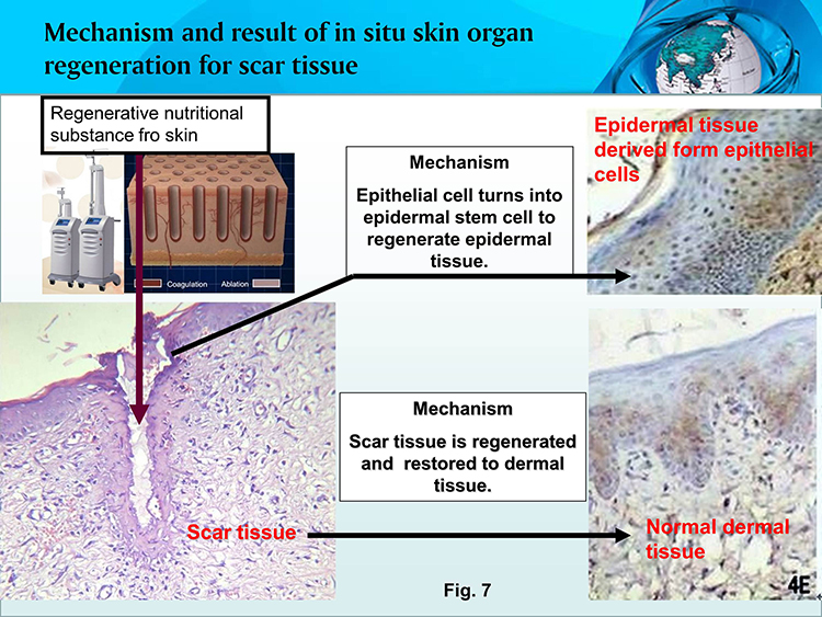 �Ϲ�NG��28(�й���)����Ʒ���������޹�˾