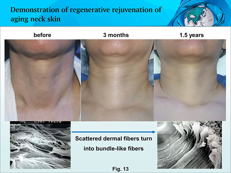 �Ϲ�NG��28(�й���)����Ʒ���������޹�˾