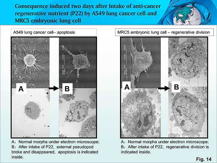 �Ϲ�NG��28(�й���)����Ʒ���������޹�˾