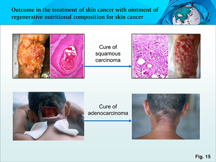 �Ϲ�NG��28(�й���)����Ʒ���������޹�˾