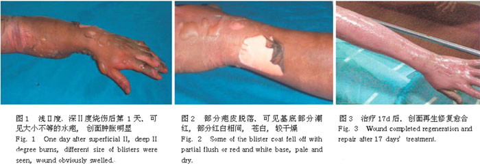 �Ϲ�NG��28(�й���)����Ʒ���������޹�˾