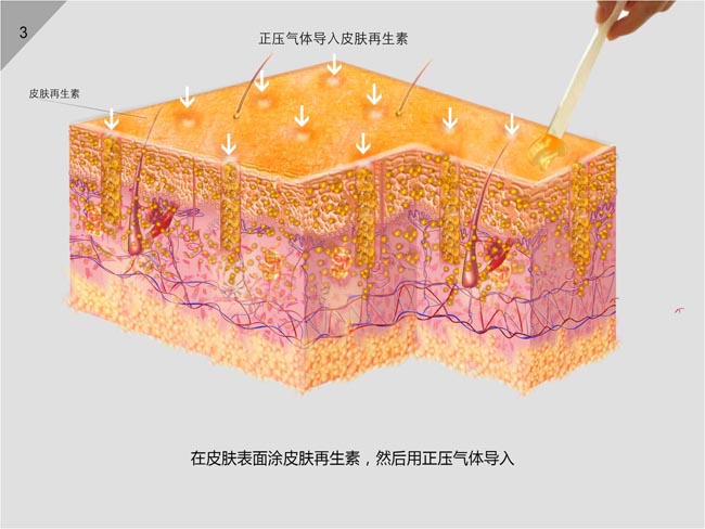 �Ϲ�NG��28(�й���)����Ʒ���������޹�˾