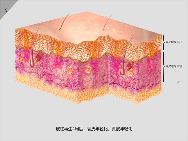 �Ϲ�NG��28(�й���)����Ʒ���������޹�˾