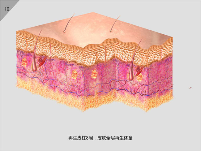 �Ϲ�NG��28(�й���)����Ʒ���������޹�˾