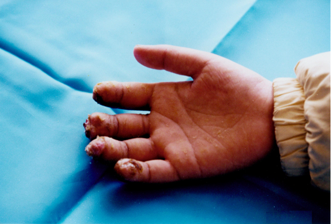 �Ϲ�NG��28(�й���)����Ʒ���������޹�˾