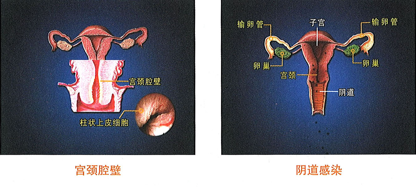 �Ϲ�NG��28(�й���)����Ʒ���������޹�˾